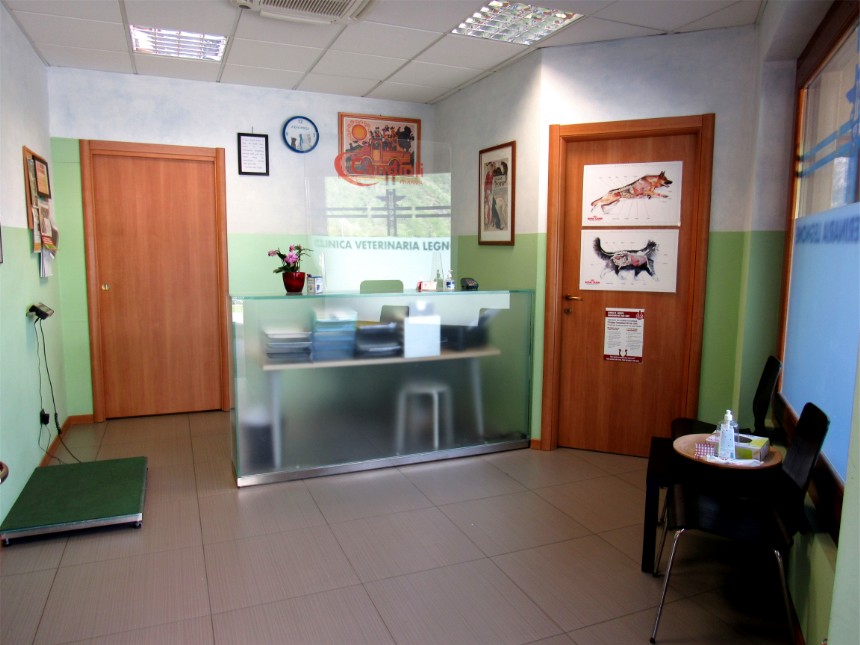Clinica Vetrinaria Legnone Clinica Vetrinaria Legnone