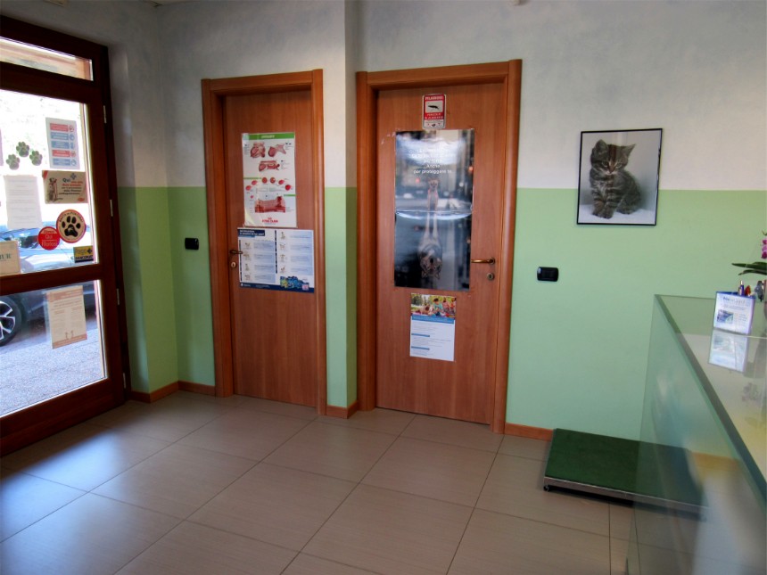 Clinica Veterinaria Legnone Clinica Veterinaria Legnone