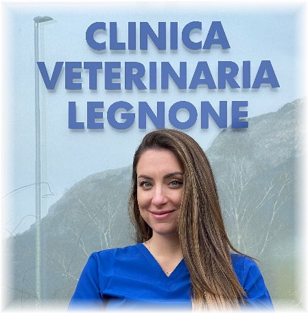 Drssa Valentina Ventura Clinica Vetrinaria Legnone